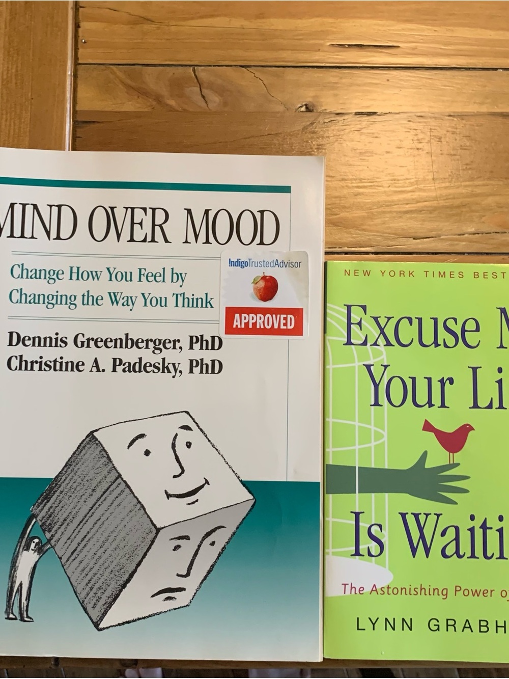Mind Over Mood Paperback Book - & Excuse Me Your Life Is Waiting Book